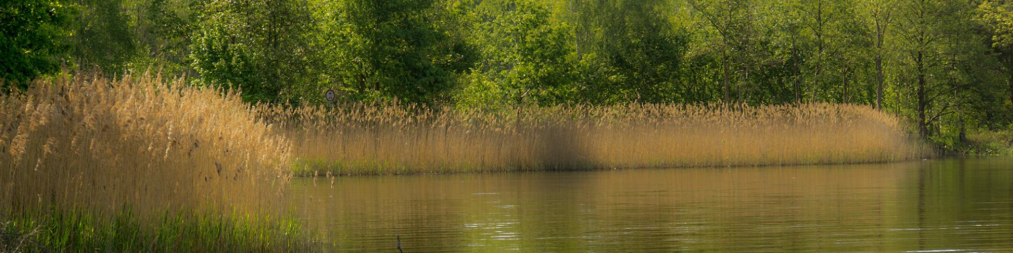 Amt Unterspreewald