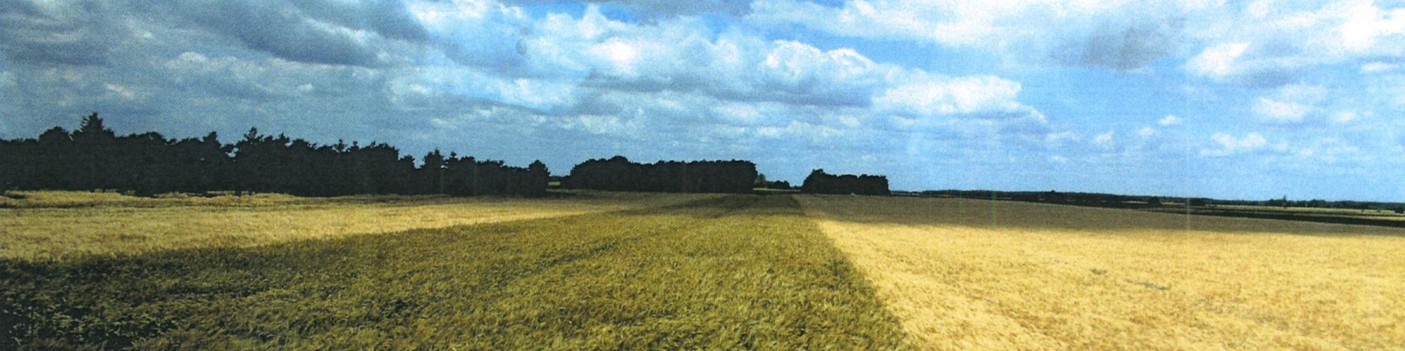 Verband landwirtschaftlicher Unternehmen Sachsen e.V.