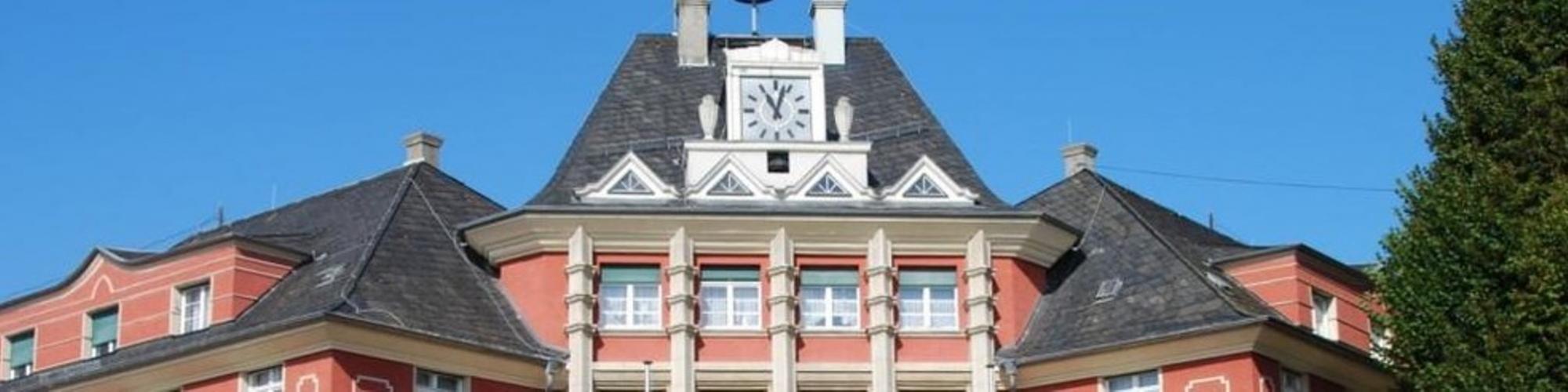 Gemeindeverwaltung Borsdorf Rosinenpicker