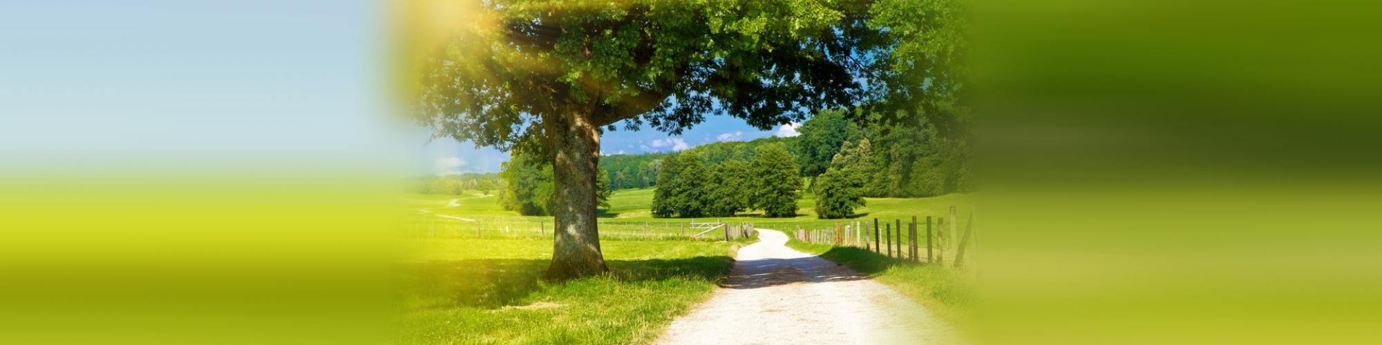 intensiv pflegen  e.K.