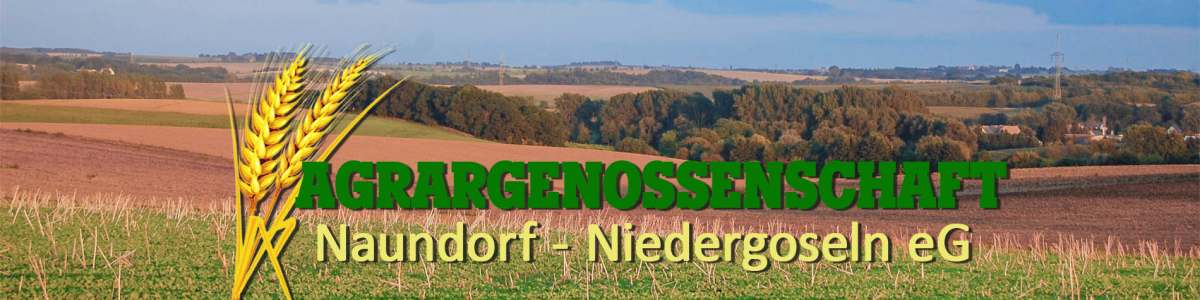 Agrargenossenschaft Naundorf-Niedergoseln eG cover